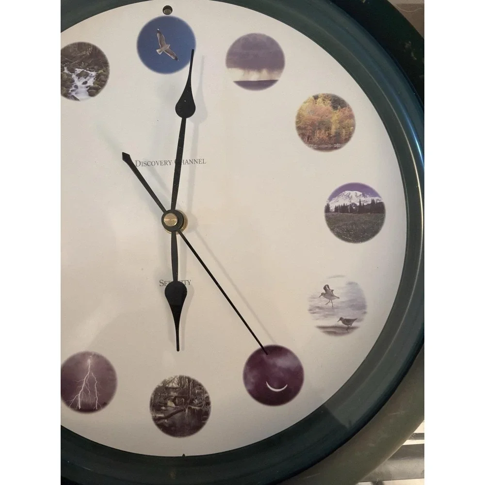 Vintage Discovery Channel Serenity Nature Sounds Wall Clock Tested Works Green